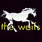 Detail Image